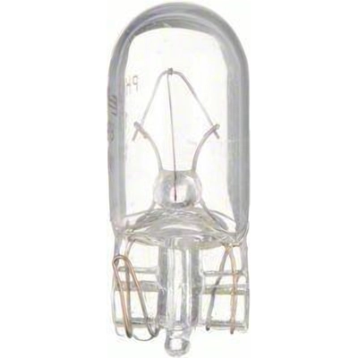 Directional Signal Indicator (Pack of 10) by PHILIPS - 168CP pa104