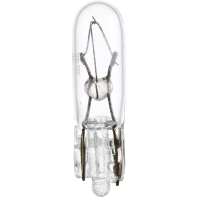 Directional Signal Indicator (Pack of 10) by PHILIPS - 73CP pa14