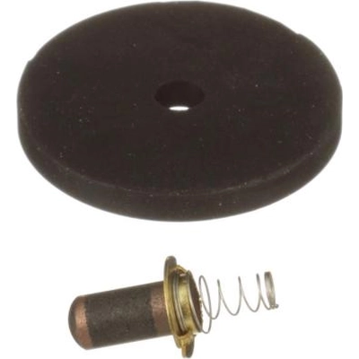 Distributor Cap To Rotor Brush by BLUE STREAK (HYGRADE MOTOR) - DR454 pa7