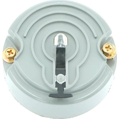 Distributor Rotor by BLUE STREAK (HYGRADE MOTOR) - FD303 pa8