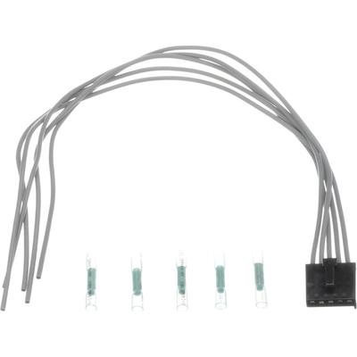 Dome Light Connector by BWD AUTOMOTIVE - PT1117 pa1