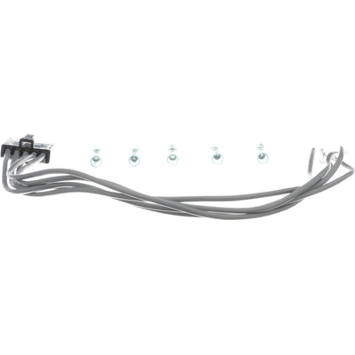 Dome Light Connector by BWD AUTOMOTIVE - PT1117 pa2