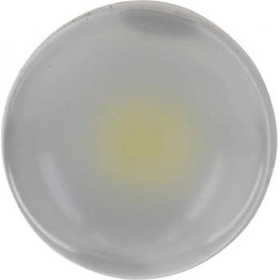 Dome Light by PHILIPS - 168WLED pa71