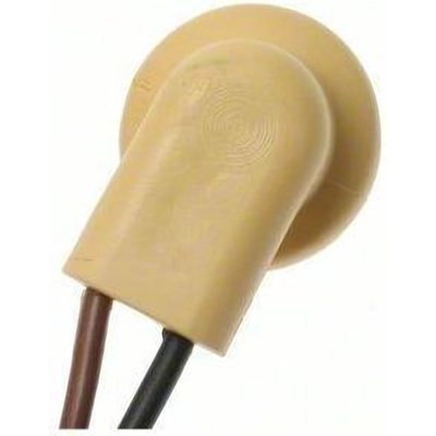BLUE STREAK (HYGRADE MOTOR) - S95 - Dome Light Socket pa46
