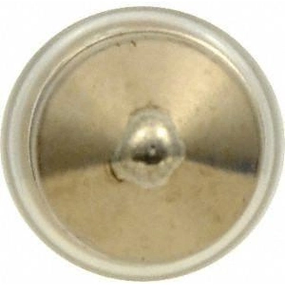 Dome Light by SYLVANIA - DE3175LL.BP2 pa5