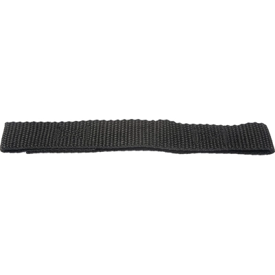 Door Check Strap by DORMAN - 38459 pa2