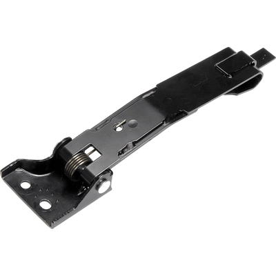 DORMAN (OE SOLUTIONS) - 924-156 - Door Check Strap pa8