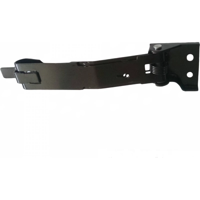 SKP - SK924156 - Rear Door Check Strap pa2