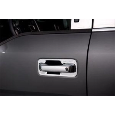 PUTCO - 401063 - Door Handle Cover pa3