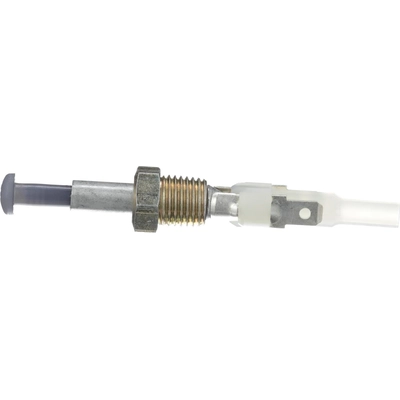 Door Jamb Switch by BLUE STREAK (HYGRADE MOTOR) - DS2151 pa5