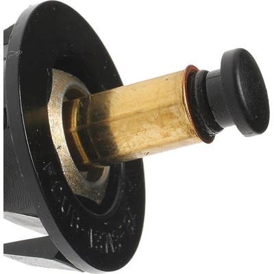 Door Jamb Switch by BLUE STREAK (HYGRADE MOTOR) - DS840 pa6