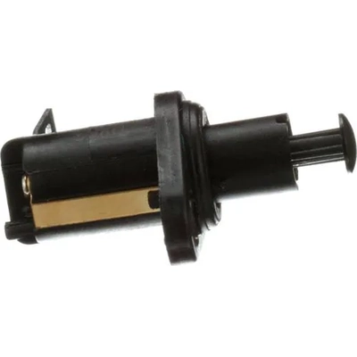 BLUE STREAK (HYGRADE MOTOR) - DS875 - Door Jamb Switch pa10