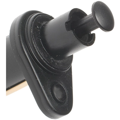 BLUE STREAK (HYGRADE MOTOR) - DS875 - Door Jamb Switch pa6