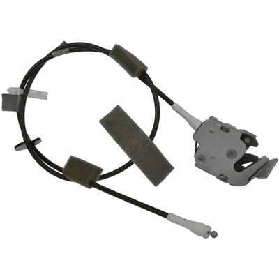 BLUE STREAK (HYGRADE MOTOR) - TGA101 - Back Door Latch Assembly pa1