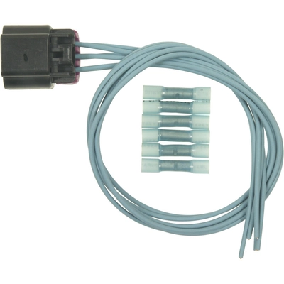 BLUE STREAK (HYGRADE MOTOR) - S1691 - Electrical Connector pa1