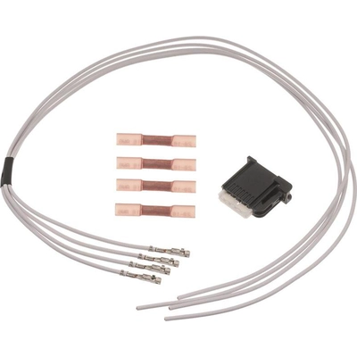 Door Lock Connector by BLUE STREAK (HYGRADE MOTOR) - S2509 pa1