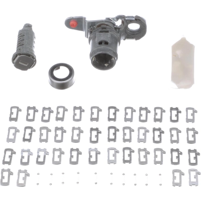 BLUE STREAK (HYGRADE MOTOR) - DL302 - Door Lock Kit pa2