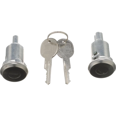 STANDARD - PRO SERIES - DL5 - Rear Door Lock Kit pa6
