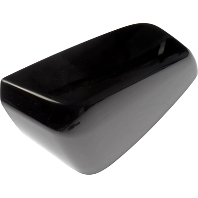Door Mirror Cover by DORMAN (OE SOLUTIONS) - 959-322 pa1