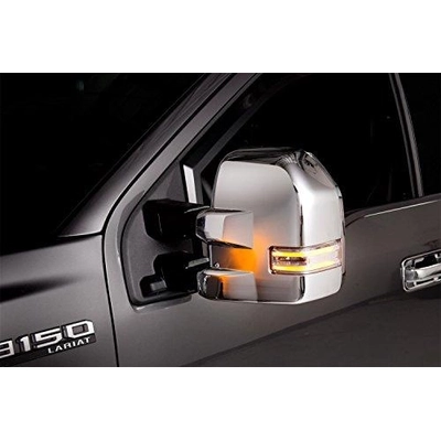 Door Mirror Cover by PUTCO - 401160 pa4