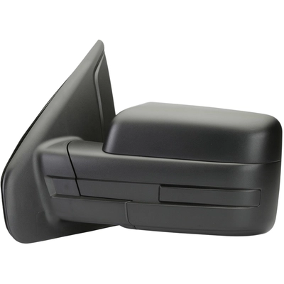 TYC - 3030512 - Door Mirror pa8