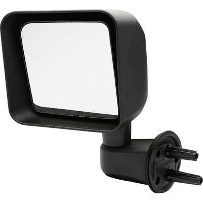 TYC - 4130112 - Door Mirror pa12
