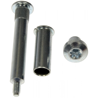 DORMAN - 38353 - Door Hinge Pin And Bushing Kit pa2