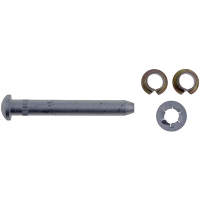 DORMAN - 703-268 - Door Hinge Pin and Bushing Kit pa2