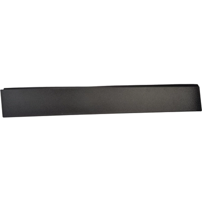 DORMAN - 47875 - Sliding Door Molding pa2