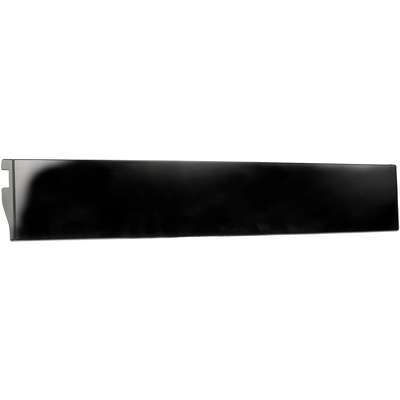 DORMAN (OE SOLUTIONS) - 926-243 - Door Trim pa8