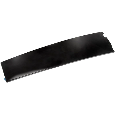 DORMAN (OE SOLUTIONS) - 926-247 - Door Trim pa7