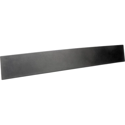 DORMAN (OE SOLUTIONS) - 926-445 - Door Trim pa8