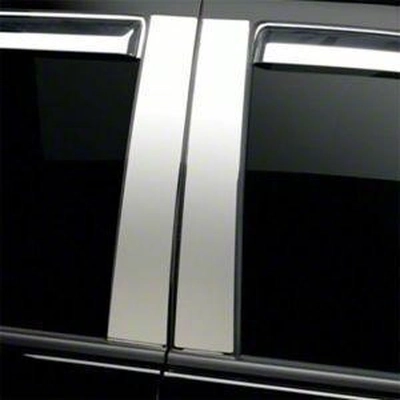 Door Trim by PUTCO - 402670 pa2