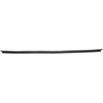 DORMAN - 25836 - Window Sealing Strip - Door pa2