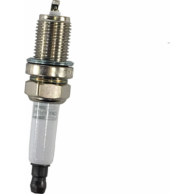 Double Platinum Plug by CHAMPION SPARK PLUG - 7166 pa4
