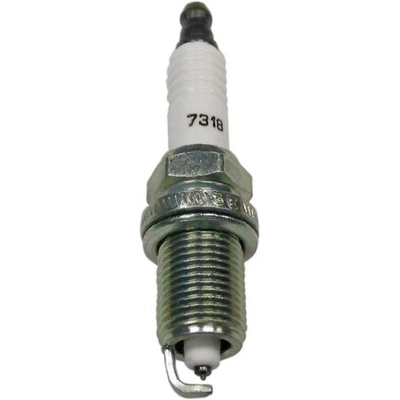 Double Platinum Plug by CHAMPION SPARK PLUG - 7318 pa4
