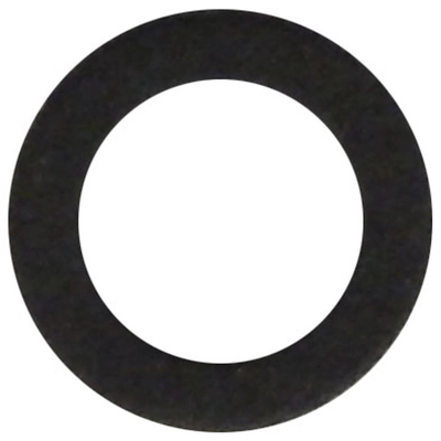 SIERRA - 18-4698 - Drain Fill Washer pa1