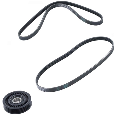 CONTINENTAL - ADK0005P - Serpentine Belt pa1