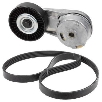 INA - 529-3221-100 - Accessory Drive Belt Kit pa1