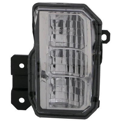 Driver Side Fog Lamp Assembly by DEPO - 320-2022L-AC pa1