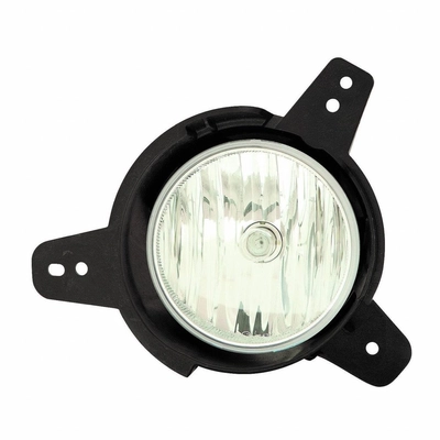 Driver Side Fog Lamp Assembly by DEPO - 335-2049L-AS pa1