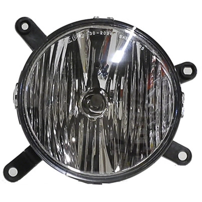 Driver Side Fog Lamp Assembly - FO2592207C pa1