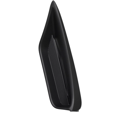 Driver Side Front Bumper Insert - LX1038141 pa1