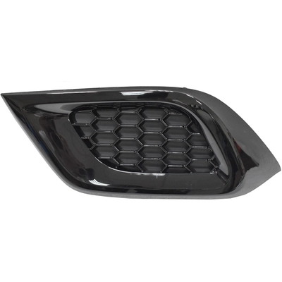 Driver Side Front Bumper Insert - TO1038227 pa1