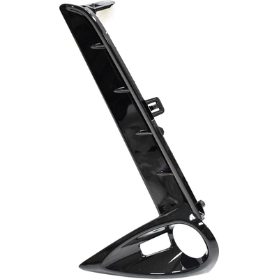 Driver Side Front Bumper Insert - LX1038138 pa1