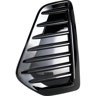 Driver Side Front Bumper Insert - NI1038185 pa1