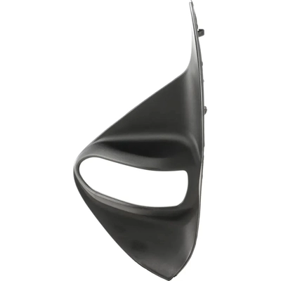 Driver Side Front Bumper Insert - TO1038250 pa1