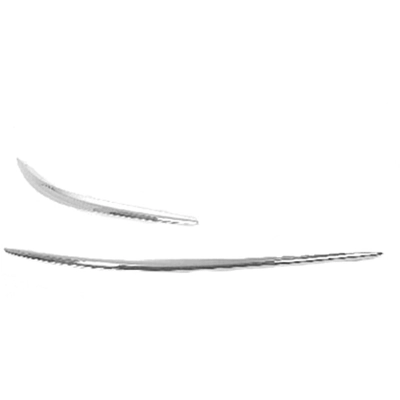 Driver Side Front Bumper Molding - GM1046101 pa1