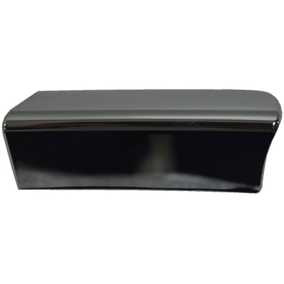 Driver Side Front Bumper Molding - LX1046100 pa1