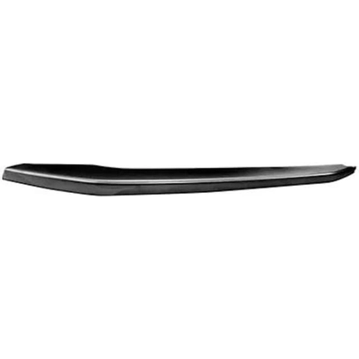 Driver Side Front Bumper Molding - VW1046120 pa1